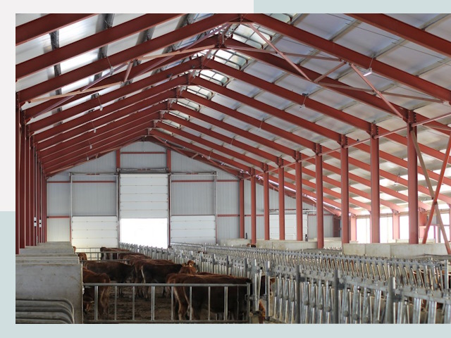 Строительство коровников в Дзержинском