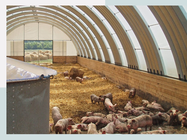 Строительство свинарников в Дзержинском