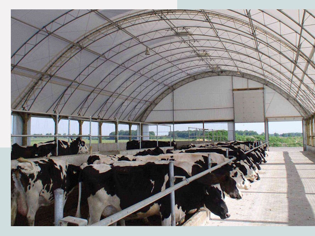 Тентовые коровники в Дзержинском