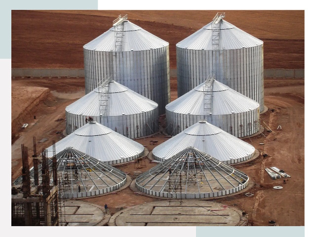 Строительство зерновых силосов в Дзержинском